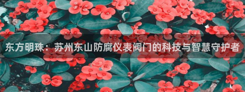 新宝 -gg登录
