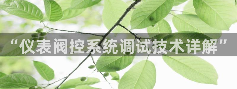 新宝gg怎样