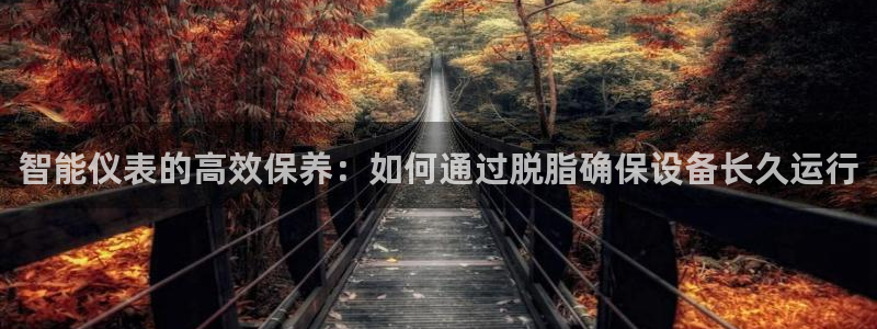 新宝gg平台怎么样