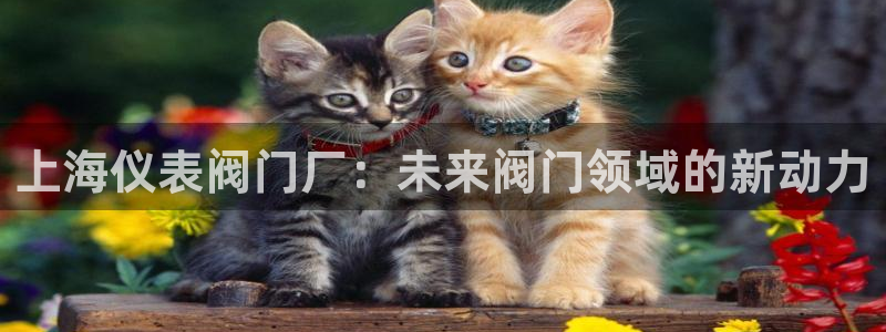 新宝GG电话