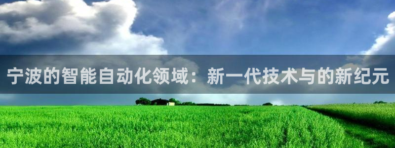 新宝gg娱乐盟主