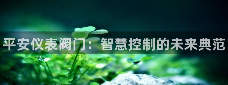 新宝GG正规78778
