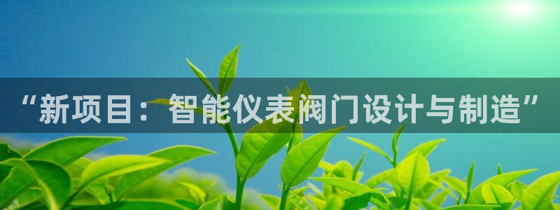 新宝六与新宝gg