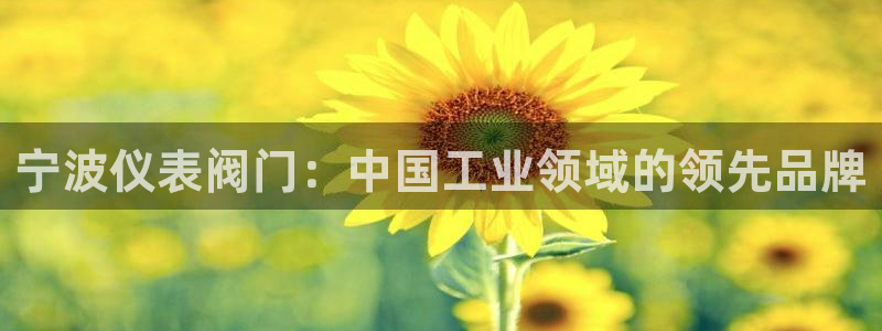 网站是新宝gg