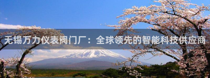 旧版新宝GG