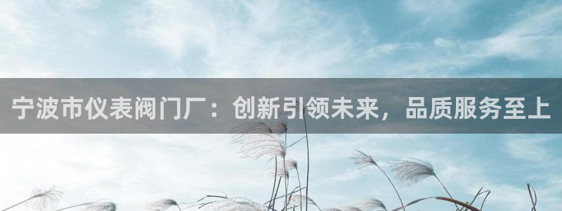 新宝gg合法吗