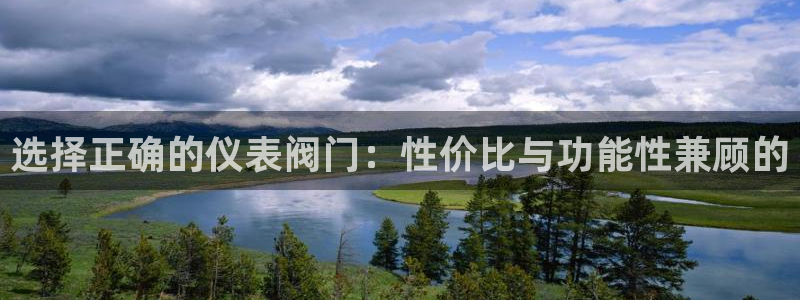 新宝gg网址