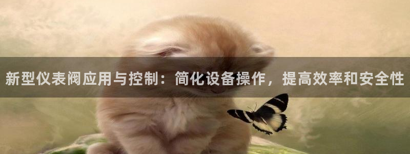新宝GG上级