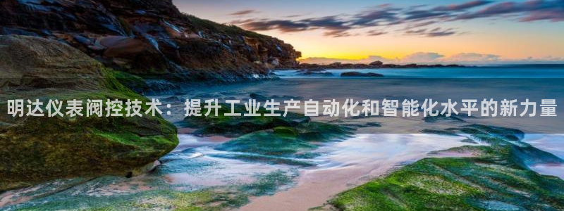 新宝 gg 总代理
