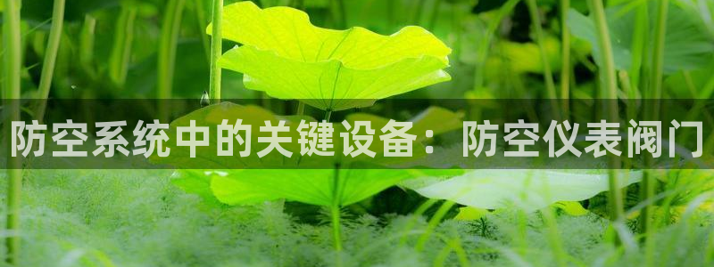 新宝gg博客