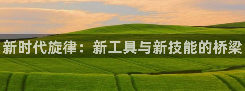新宝gg合法吗