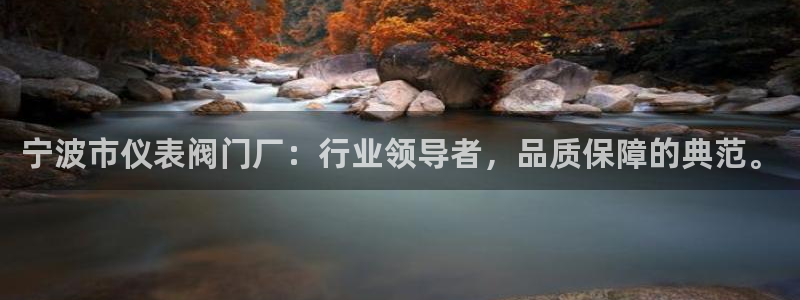 新宝gg老板