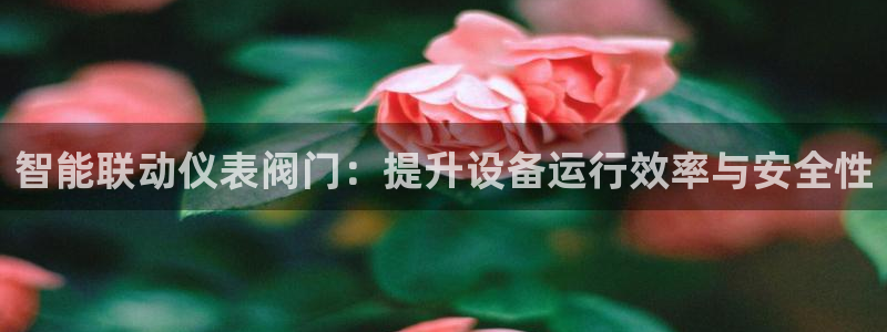 新宝gg在哪开户