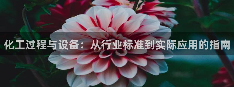 新宝gg吧