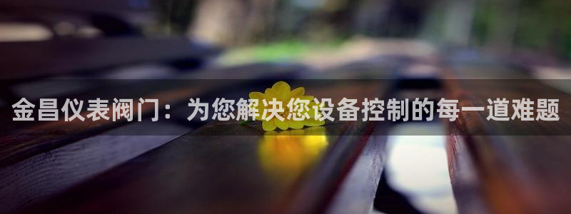 新宝gg网赚