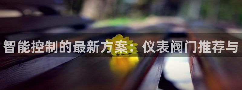 新宝gg网娱乐