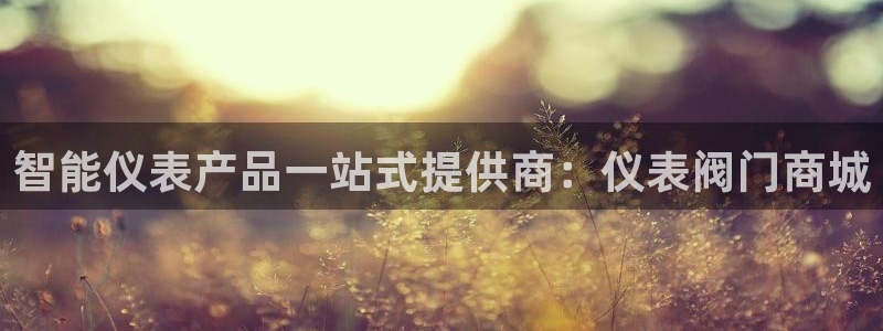 新宝gg网