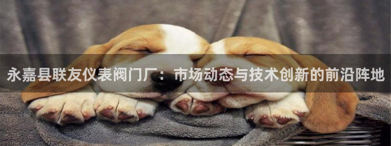 新宝gg登