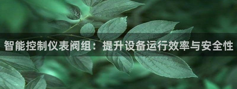 谁有新宝GG
