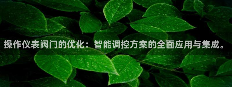 新宝gg招商42873