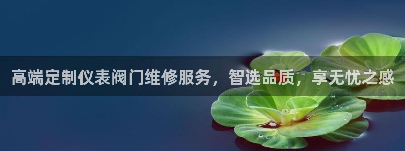 百度新宝gg