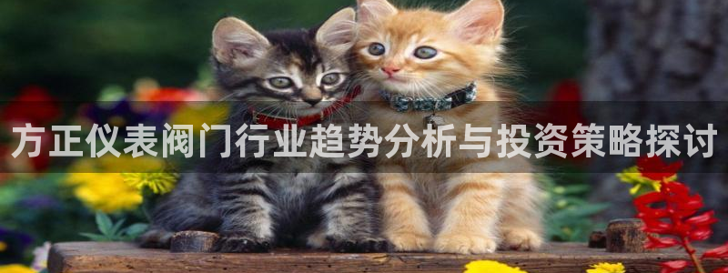 新宝gg投注