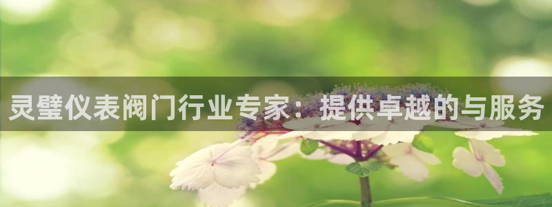 新宝GG创造奇