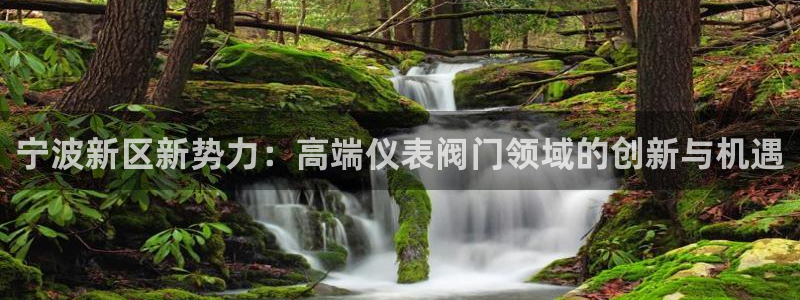 新宝gg_