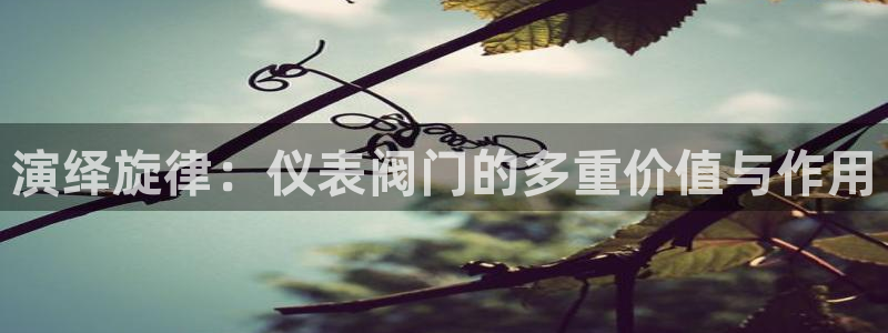 新宝gg手机