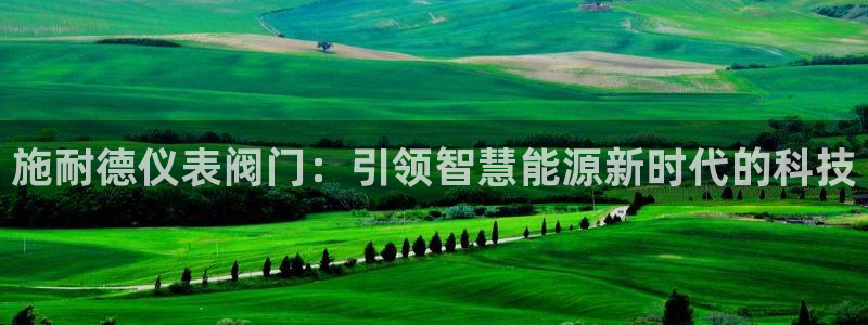 新宝gg是什么