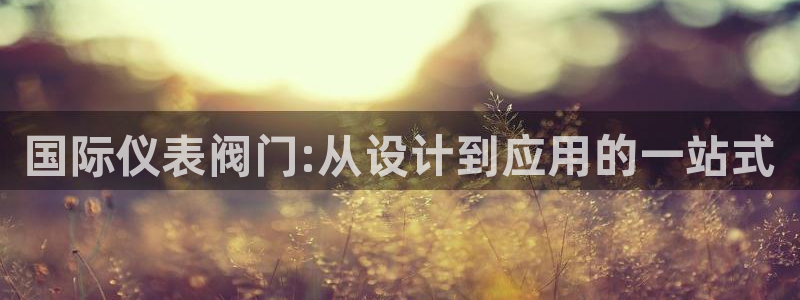 新宝 gg 总代理