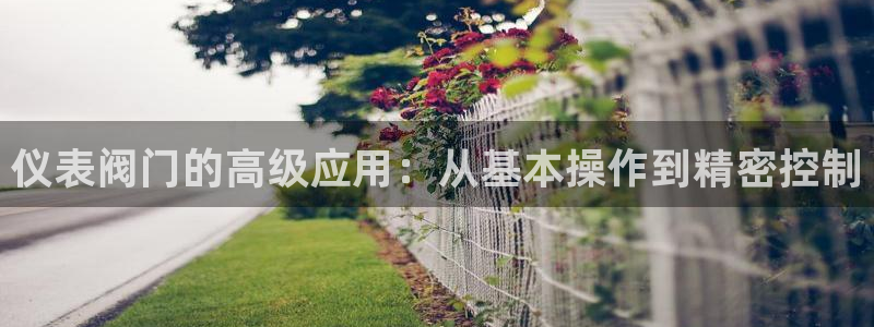 新宝gg 网址