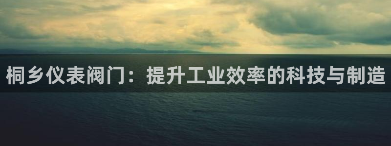 新宝Gg测速地址