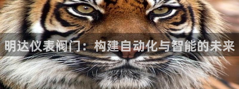 新宝gg信息
