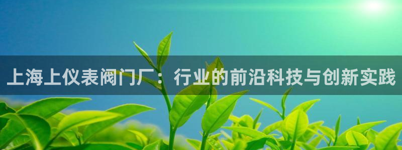 新宝gg打发