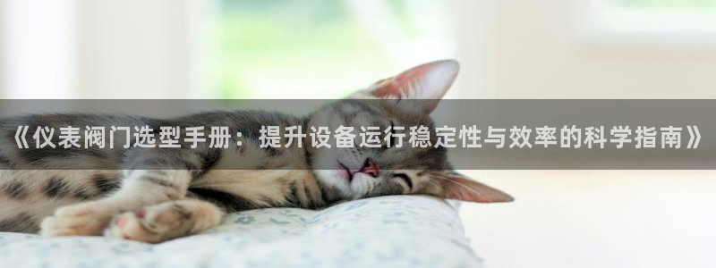 新宝gg手机app