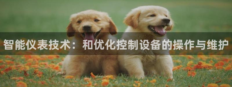 新宝gg软件