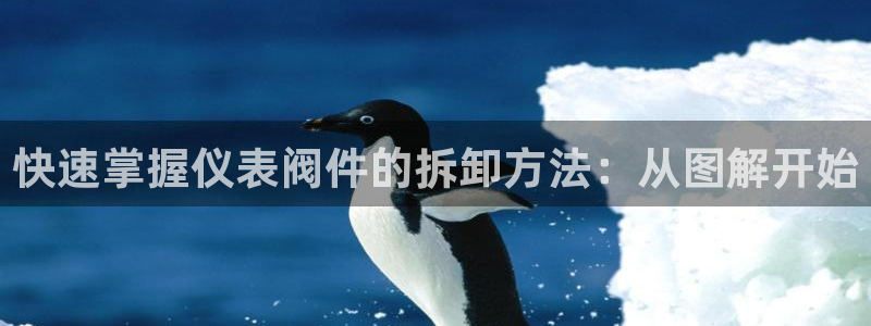 j新宝GG