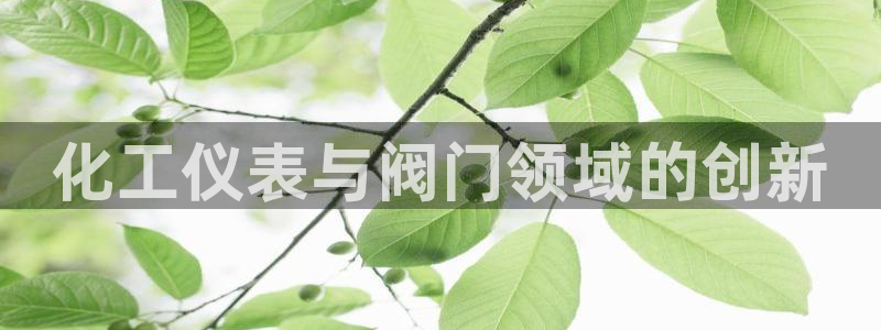 新宝gg好吗
