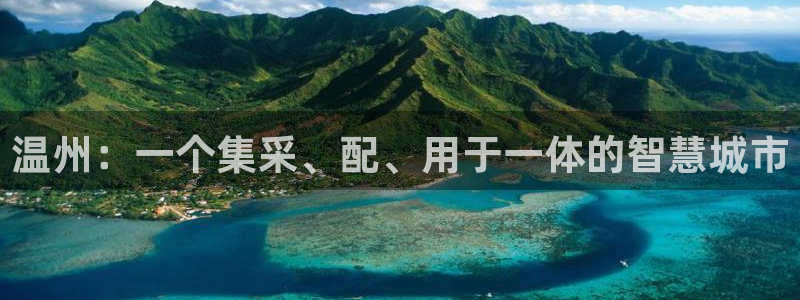 新宝gg返点1956是多少