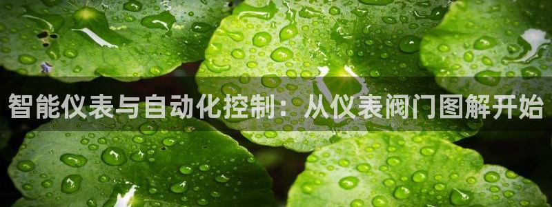 新宝gg欢迎