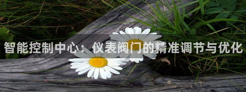 新宝gg总部