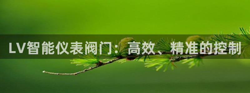 新宝gg龙虎规则