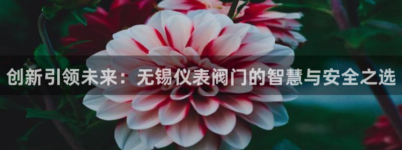 新宝gg画