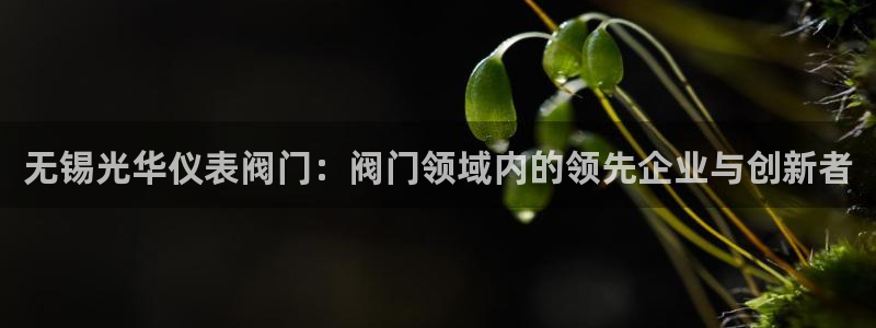 谁有新宝GG