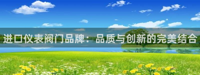 新宝gg 登陆