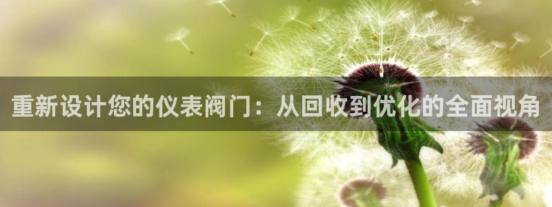 新宝gg主