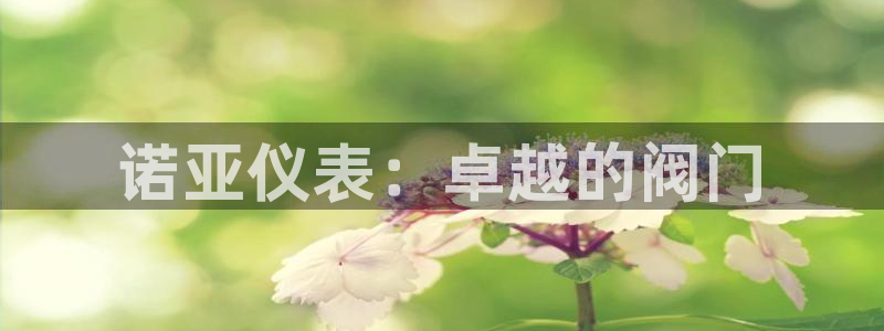 新宝gg运营88383
