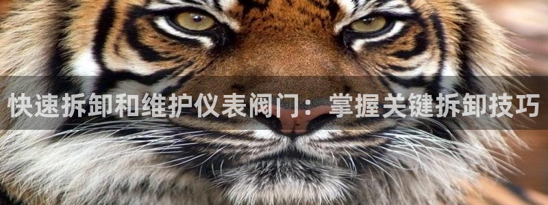 新宝gg手机app