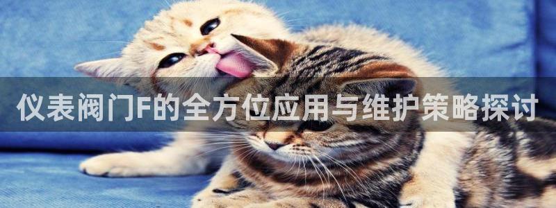 j新宝GG